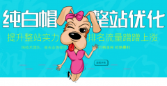純白帽整站優(yōu)化，提升整站實力，價格親民效果好